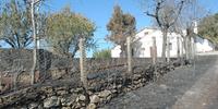 I danni provocati l'incendio a Schiavi d'Abruzzo, che ha minacciato anche alcune abitazioni (foto Gianfranco Daccò)