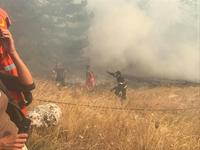 L'avanzata delle fiamme sul Morrone (dalla pagina Facebook del sindaco Antonella Di Nino)