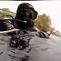 Le ricerche nel fiume del pensionato da parte dei carabinieri subacquei