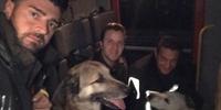 I due cani abbandonati sulla superstrada Teramo Mare e salvati dai vigili del fuoco la sera di San Silvestro
