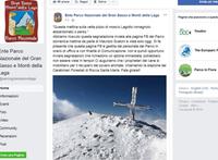 L'appello con la foto del cane sulla pagina Facebook dell'ente Parco Gran Sasso e Monti della Laga