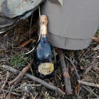Una bottiglia di champagne trovata tra le macerie