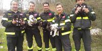 I vigili del fuoco di Teramo con i cuccioli salvati