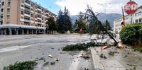 I resti dell'albero in piazza Capograssi (foto Claudio Lattanzio)