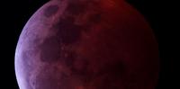 La luna rossa fotografata il 21 gennaio per conto della Cogecstre
