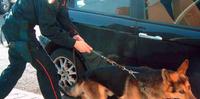 Carabiniere con cane antidroga
