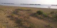 Tracce di quad sulle dune di sabbia della spiaggia di Ortona-stazione Tollo