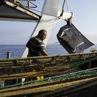 Immagini di una giornata di pesca sulla barca di Antonino Camplone