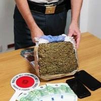 La marijuana sequestrata dalla guardia di finanza