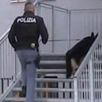 Servizio della polizia con cane antidroga in una scuola