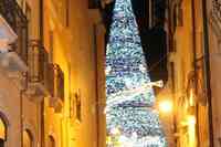 L'albero di Natale dei record