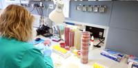 Coronavirus: test di laboratorio all'ospedale di Pescara