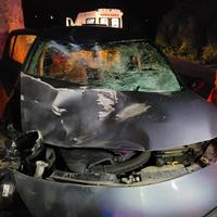 L'auto distrutta dopo l'incidente contro il cervo