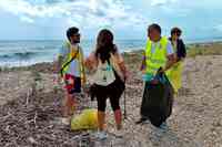 I volontari ripuliscono la spiaggia