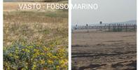 Prima e dopo i lavori a Vasto marina per il Jova beach party, la foto-denuncia degli ambientalisti della Soa