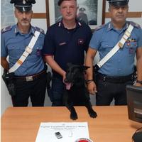 I carabinieri con il cane antidroga e il materiale sequestrato