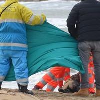 Il recupero del cadavere sulla spiaggia di Termoli (www.termolionline.it)