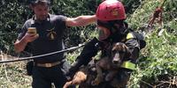Cecco, il cane ripescato dai vigili del fuoco in un pozzo profondo 20 metri