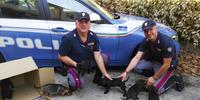 Gli agenti della Stradale con i cagnolini salvati