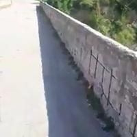 I ferri scoperti nel parapetto del ponte (foto da video fb di Fabio Iezzi)