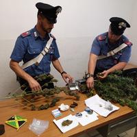 La droga sequestrata dai carabinieri di Carsoli