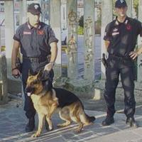 Controlli antidroga dei carabinieri davanti a una scuola