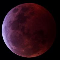 La luna rossa fotografata il 21 gennaio per conto della Cogecstre