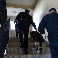 Controlli a scuola dei carabinieri con il cane antidroga