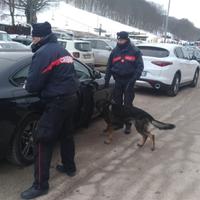 I controlli dei carabinieri con il cane antidroga a Passolanciano