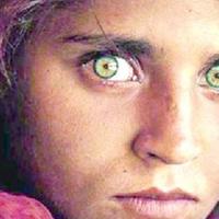 La ragazza afghana fotografata da Steve McCurry, immagine divenuta famosa nel mondo sulla copertina di National Geographic