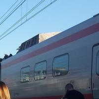 Albero sui binari, circolazione ferroviaria sospesa tra Pescara e Sulmona