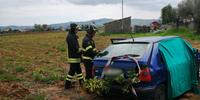L'auto finita nel campo agricolo dopo l'impatto con un albero d'ulivo