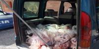 La carne ovina sequestrata dalla polizia stradale sul pulmino