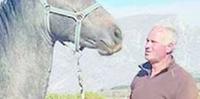 Giacinto Flammini, 66 anni, con uno dei suoi cavalli