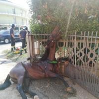 Il cavallo infilzato dalla lancia di un cancello