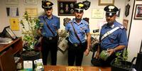 I carabinieri con la droga sequestrata in una casa di Notaresco