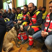 Il cane da ricerca Lilith con i soccoritori del gruppo Abruzzo K9