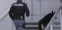 Servizio della polizia con cane antidroga in una scuola