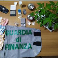 La droga con le piantine di marijuana, denaro e altre sostanze sequestrate dalla finanza a una donna di Sulmona