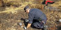 Le indagini dei Carabinieri forestali sul luogo dell'incendio