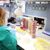 Coronavirus: test di laboratorio all'ospedale di Pescara