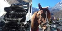 L'autocarro in fiamme e uno dei cavalli salvati sull'autostrada A24