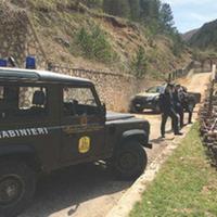 L'intervento dei carabinieri forestali a Bisegna
