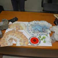 Droga e denaro sequestrati dagli agenti della squadra mobile a un giovane albanese