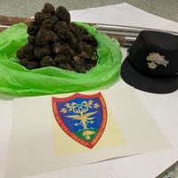 Il tartufo nero sequestrato dai carabinieri forestali