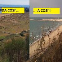 Foto a confronto: la Riserva naturale prima e dopo le fiamme di ieri