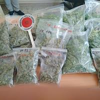 Parte della marijuana sequestrata dai carabinieri