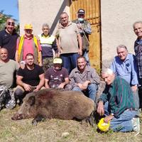 Il cinghiale di 190 chili abbattuto da un gruppo di cacciatori a Lettomanoppello