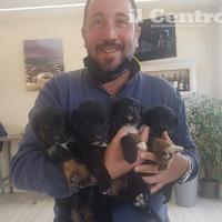 I cuccioli salvati con il titolare del Lucas Cofee (foto di Gianfranco Daccò)