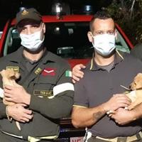 I vigili del fuoco con i due cagnolini salvati